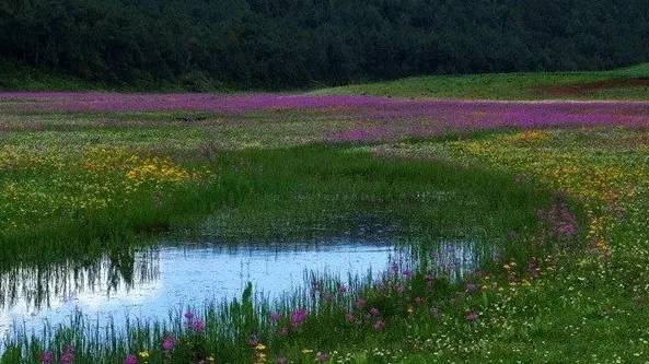 雪山莊園，只是天堂下降了一點(diǎn)點(diǎn)