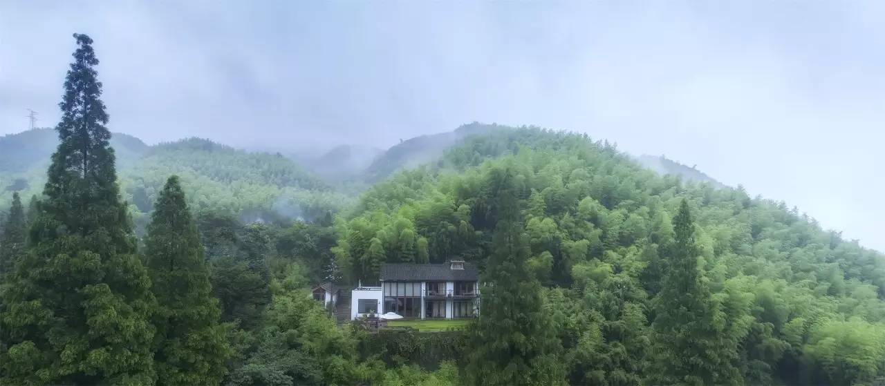 大樂之野·谷舍，擁有一個詩意的世界