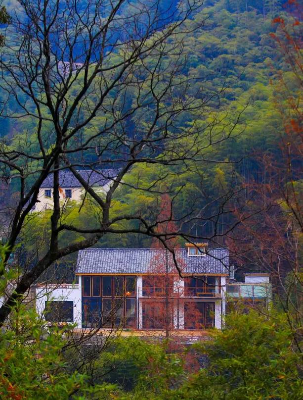 大樂之野·谷舍，擁有一個詩意的世界