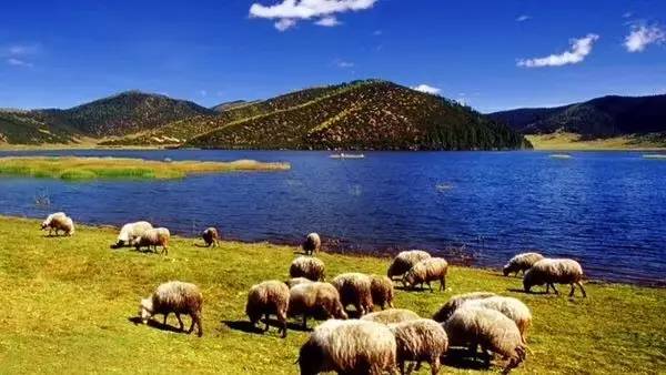 天空之城南杉藝術(shù)酒店，在月光之城尋找探索