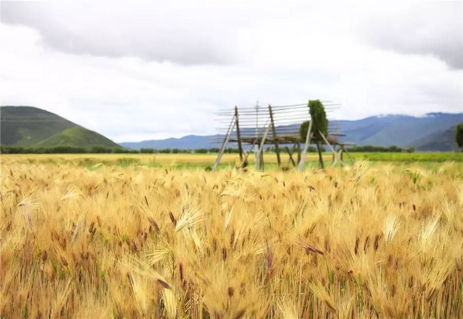 天空之城南杉藝術(shù)酒店，在月光之城尋找探索