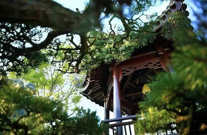 大美江南·蘇洲府，生長(zhǎng)在姑蘇古城的園子