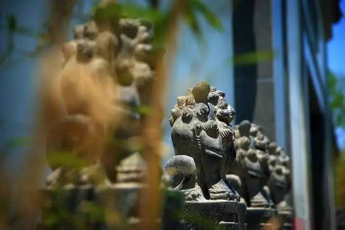 大美江南·蘇洲府，生長(zhǎng)在姑蘇古城的園子