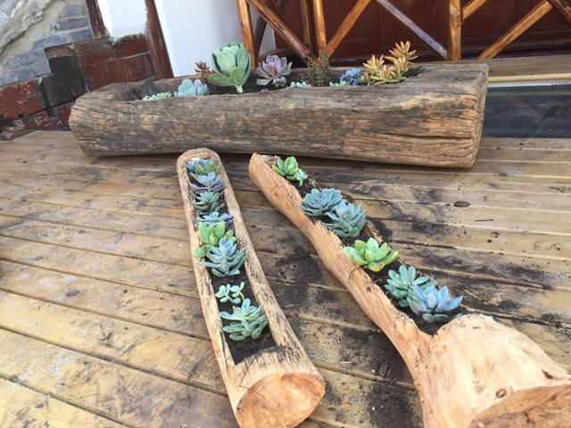 古一私邸，在大理洱海風花雪月演繹痛快人生