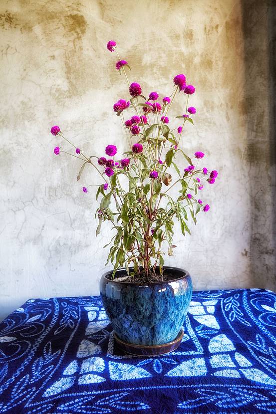 古一私邸，在大理洱海風花雪月演繹痛快人生