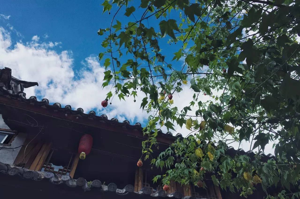 文殊·林舍，在麗江古城過著獨一無二的小日子