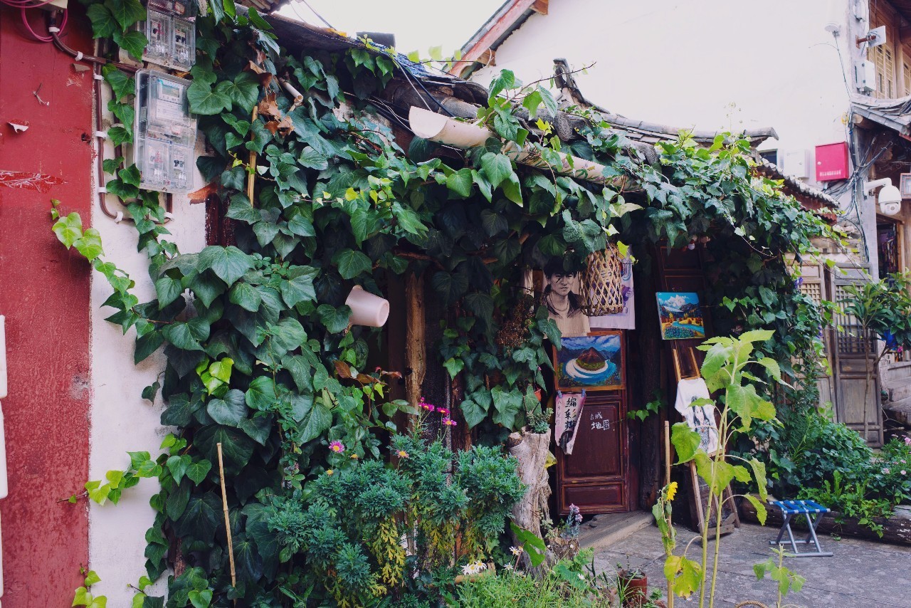 文殊·林舍，在麗江古城過著獨(dú)一無(wú)二的小日子