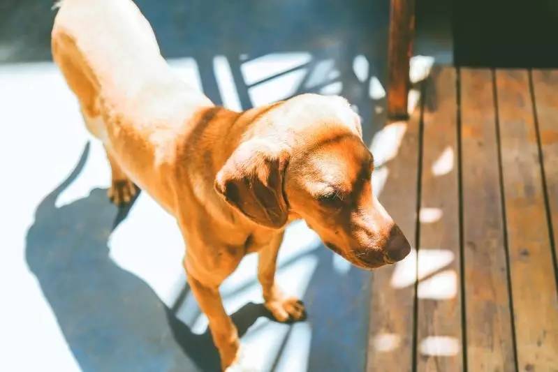 文殊·林舍，在麗江古城過著獨(dú)一無二的小日子