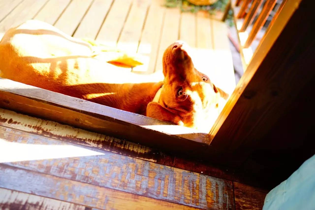 文殊·林舍，在麗江古城過著獨(dú)一無二的小日子