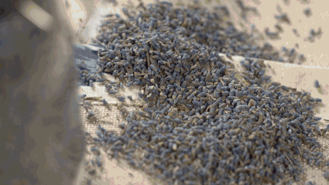 中國茶道禪茶館，茶乃人生樂事