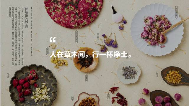 中國茶道禪茶館，茶乃人生樂事