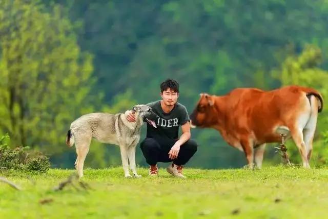 若丁山七號營地，無數(shù)人向往的“星空露營地”