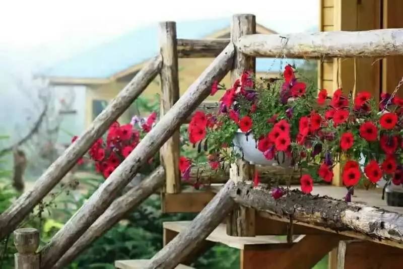 若丁山七號(hào)營(yíng)地，無(wú)數(shù)人向往的“星空露營(yíng)地”