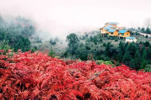 若丁山七號(hào)營(yíng)地，無(wú)數(shù)人向往的“星空露營(yíng)地”