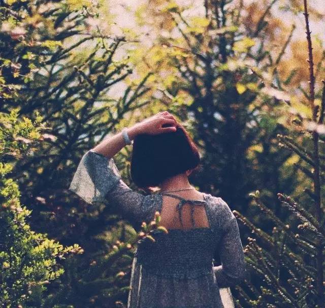 若丁山七號營地，無數(shù)人向往的“星空露營地”