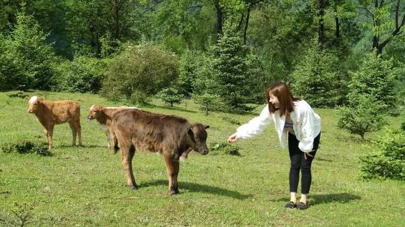 若丁山七號(hào)營(yíng)地，無數(shù)人向往的“星空露營(yíng)地”