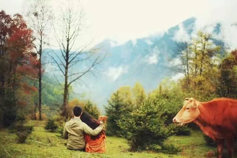 若丁山七號(hào)營(yíng)地，無數(shù)人向往的“星空露營(yíng)地”