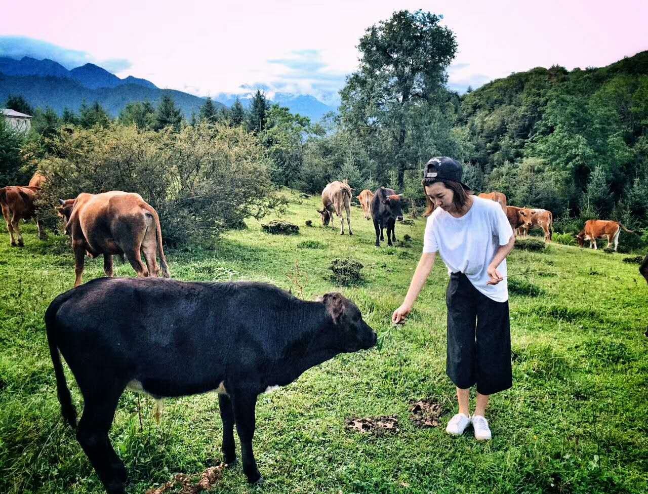 若丁山七號(hào)營(yíng)地，無數(shù)人向往的“星空露營(yíng)地”
