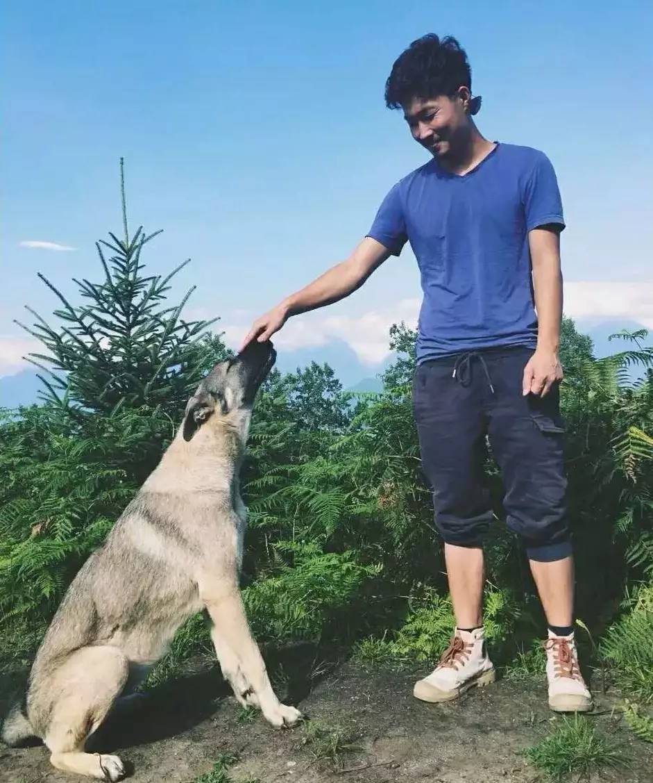 若丁山七號(hào)營(yíng)地，無數(shù)人向往的“星空露營(yíng)地”