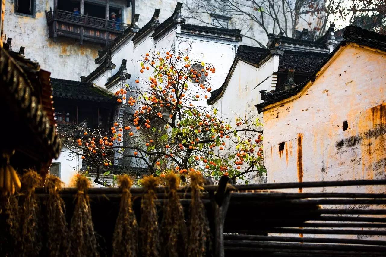 墅家墨娑西沖院，活了的老宅訴說舊日的時光