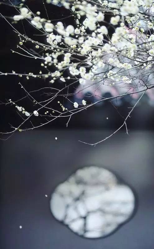 中式庭院設(shè)計(jì)，中國人內(nèi)心的歸屬