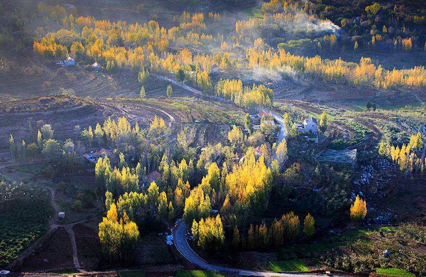 沂蒙山舍，呼吸大自然“臥聽(tīng)松嘯 伴山而眠”