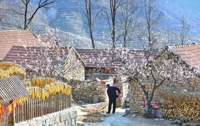 沂蒙山舍，呼吸大自然“臥聽(tīng)松嘯 伴山而眠”