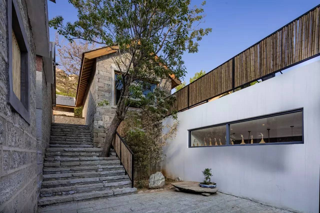 沂蒙山舍，呼吸大自然“臥聽松嘯 伴山而眠”