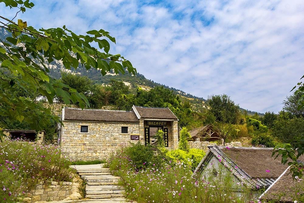 沂蒙山舍，呼吸大自然“臥聽(tīng)松嘯 伴山而眠”