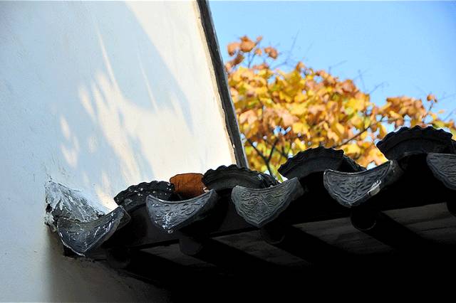 中國(guó)人在秋天的九種情調(diào)，唯美古風(fēng)句子