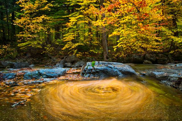 中國人在秋天的九種情調(diào)，唯美古風(fēng)句子