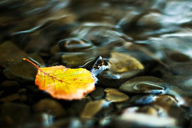 中國人在秋天的九種情調(diào)，唯美古風(fēng)句子