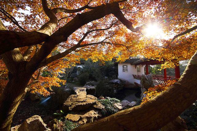 中國人在秋天的九種情調(diào)，唯美古風(fēng)句子