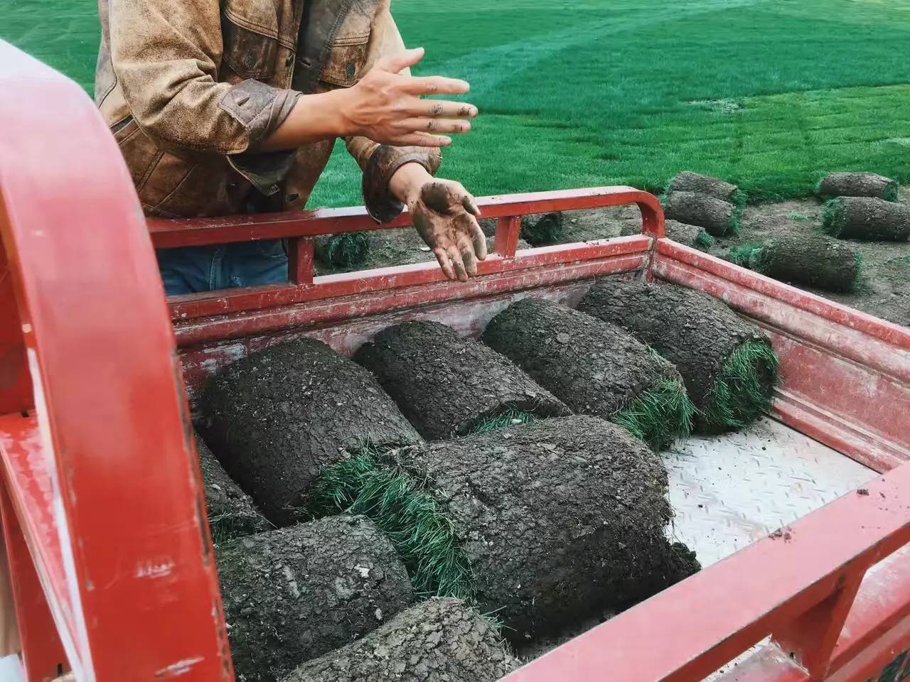 大理吾居，吾之居所無拘無束