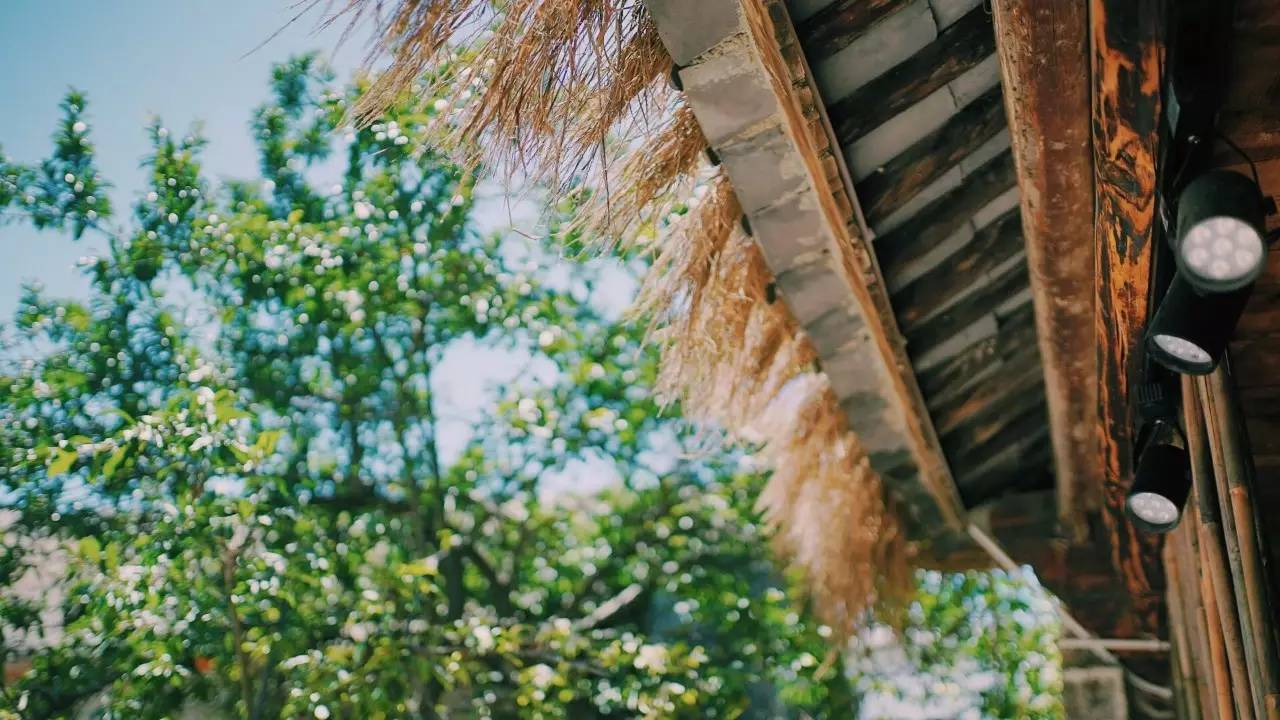 大理吾居，吾之居所無拘無束