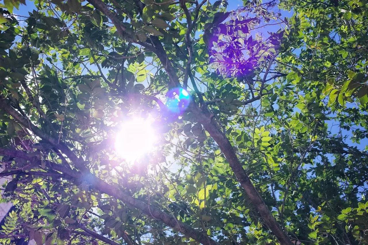 拉薩香格里拉酒店，睡在世界屋脊之上