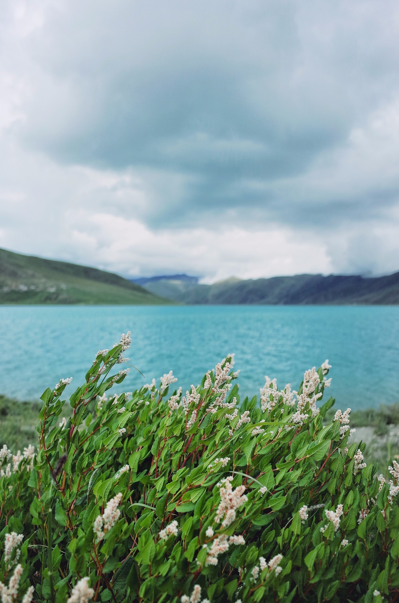 拉薩香格里拉酒店，睡在世界屋脊之上