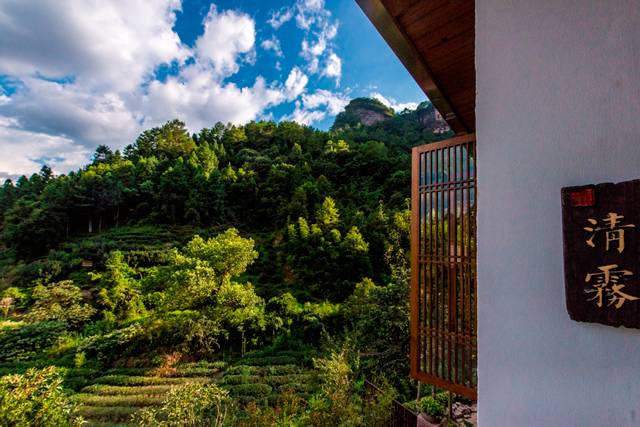 茶隱山房，以茶會(huì)友隱逸塵世