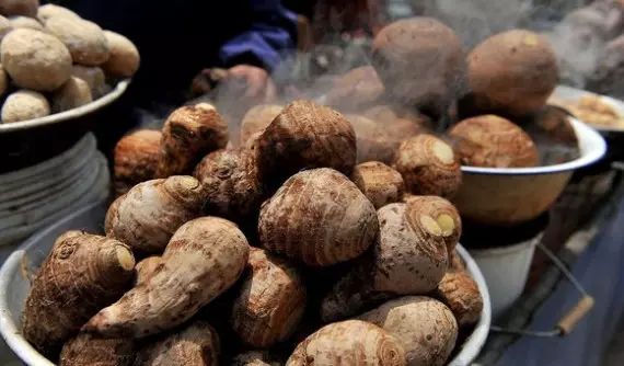 棲霞山居，溪流環(huán)繞在古村落捕魚看霞光