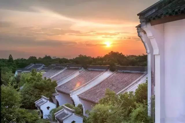 西溪濕地三款最美避世酒店，果然一派驚艷