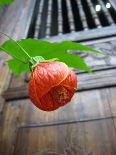 陽(yáng)朔明清老宅院，留一份純真質(zhì)樸回歸本真