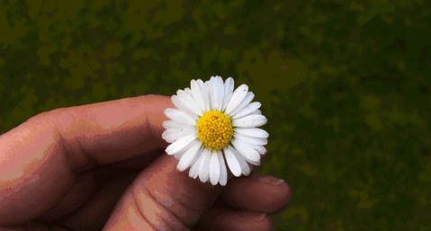 22款與秋相關(guān)的唯美句子，唯美古風句子