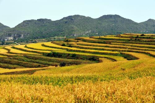 22款與秋相關的唯美句子，唯美古風句子