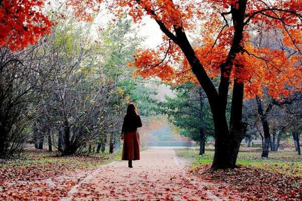22款與秋相關的唯美句子，唯美古風句子