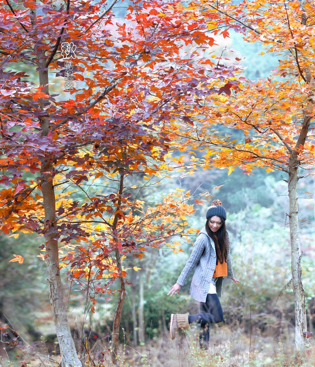 22款與秋相關(guān)的唯美句子，唯美古風(fēng)句子