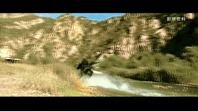 北京懷柔白鳥集，飛翔的白鳥我在等你乘風(fēng)歸來