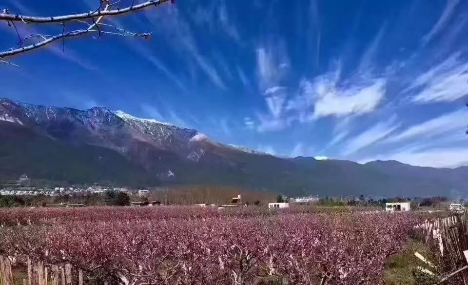 麗江束河聚寶齋民宿，告別曾經(jīng)邂逅未來的美麗