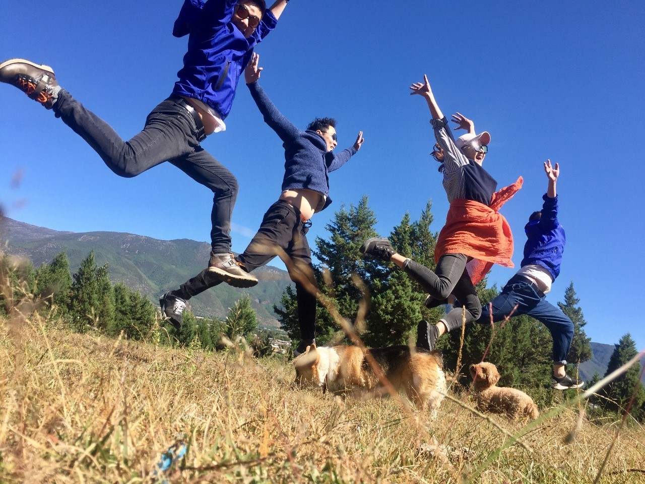 麗江束河聚寶齋民宿，告別曾經(jīng)邂逅未來的美麗