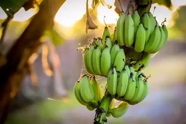 Airbnb上民宿，遇見你日子原來這么美妙