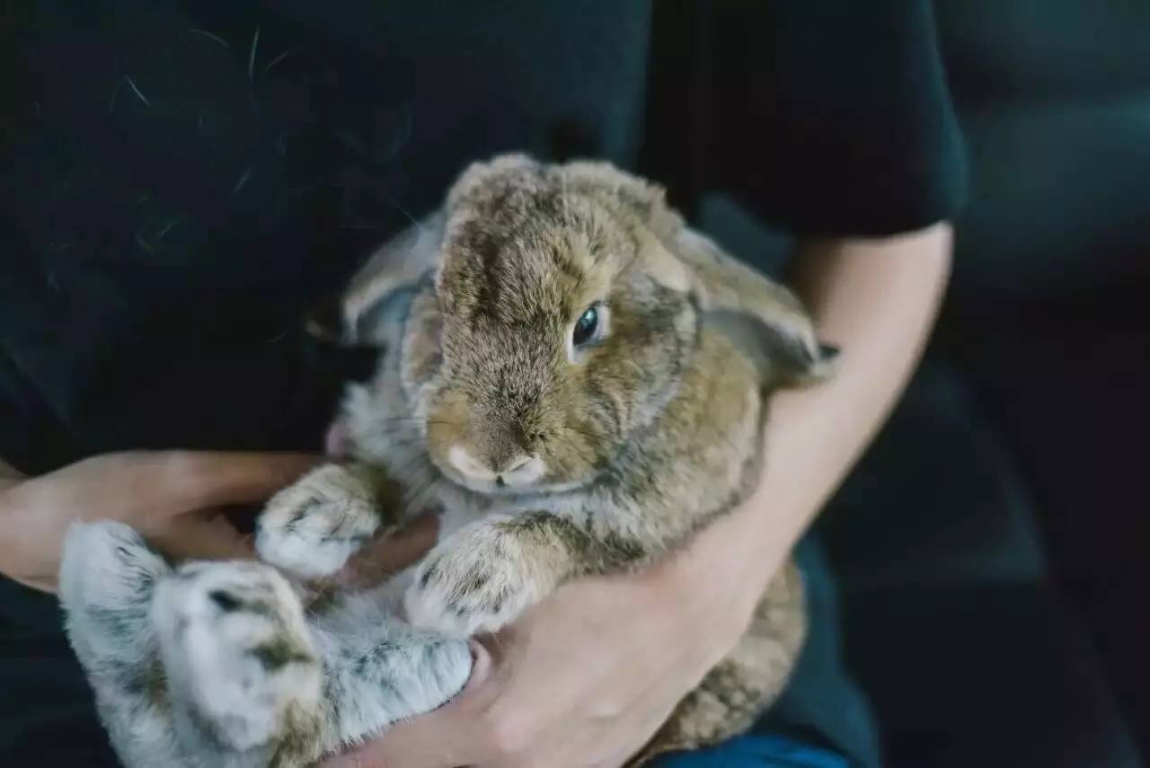 Airbnb上民宿，遇見你日子原來這么美妙